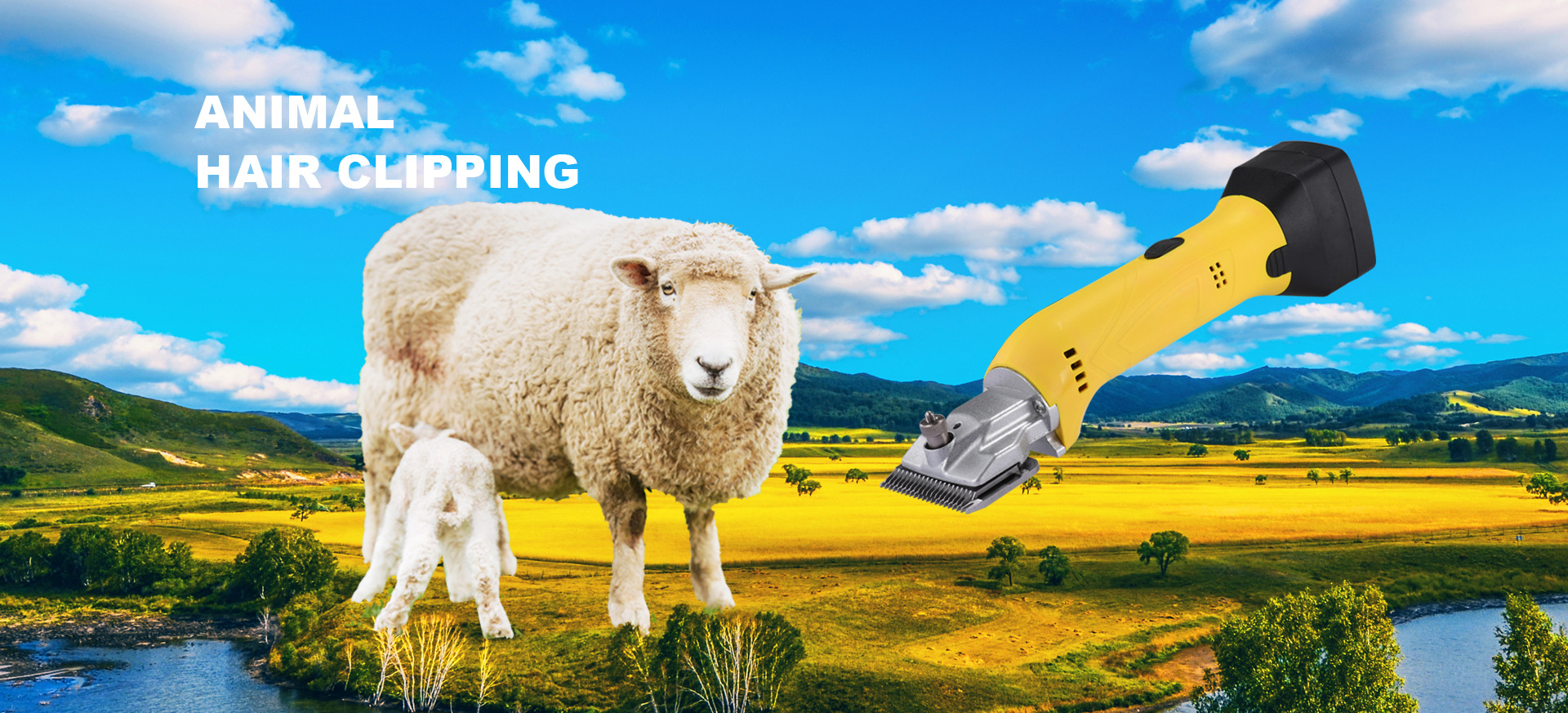 Dapu｜bicycle drive systems
